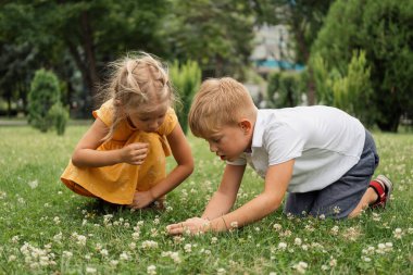 Güneşli bir günde parkta doğayı keşfeden iki çocuk, bitkilere ve çimenlere bakıyor. Çocukluk, doğa ve doğa aktiviteleri için mükemmel bir tema..