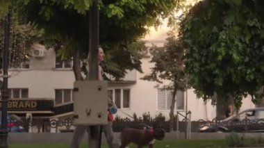 Mutlu bir kadın, evcil Fransız Bulldog 'uyla şehirde güneşli bir akşam yürüyüşünden zevk alır. Parkta yürürken gülümsüyor..