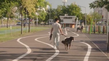 Genç bir adam Bernese Dağ Köpeği ile şehir parkında asfalt bir yolda yürüyor. Köpek tasmayla onun yanında sakince yürür. Güneşli bir yaz gününün tadını çıkarıyorlar..