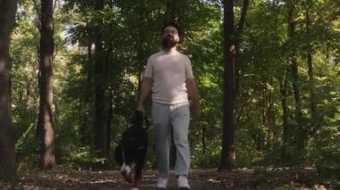 Bernese Dağ Köpeği 'ni ormanda tasmayla gezdiren bir adam. Yaz havasının ve doğanın huzurunun tadını çıkarıyorlar..