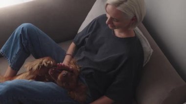 Mutlu genç kadın evdeki kanepede rahatlar ve tatlı köpeğini nazikçe okşar. Köpek sırtüstü uzanıyor, sevgisinin tadını çıkarıyor..