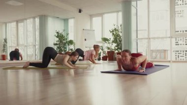 Parlak bir stüdyoda yoga yapan genç kadınlar. Paspaslar üzerinde gerilip bükülüyorlar..