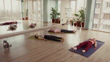 Stüdyoda yoga dersi sırasında cesedin içinde yatan bir grup genç kadın..