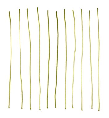 Resimli suluboya yeşil şeritler. El çizimi elementler beyaz üzerine izole.