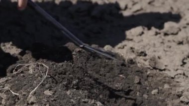 Baharda ya da sonbaharda güneşli bir günde küçük bir tırmıkla adamın elini kapar.