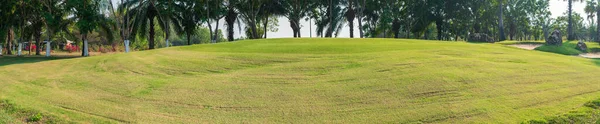 Panorama green grass on golf field ,Panorama green field landscape