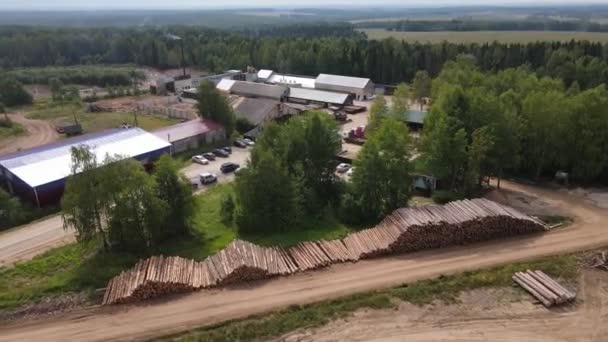 ナゴルスク キロフ地方 ロシアの夏の日に緑豊かな木材の近くに位置する工業用木工場の高角度ドローンビュー — ストック動画