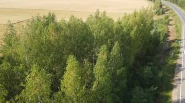 Kırsalda yetişen yemyeşil ağaçların arasından geçen asfalt yolun havadan görünüşü