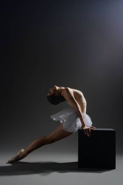 Bir balerin zarif bir duruş sergiler. Esnekliği ve sanatsallığı minimalist bir arkaplan ile loş aydınlatılmış bir stüdyoda vurgular..
