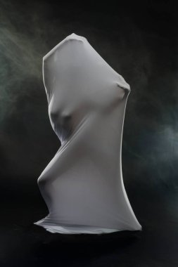 Benzersiz bir kompozisyon, şeffaf kumaşla kaplanmış bir heykel figürünü ortaya çıkarıyor, karamsar bir ortamda büyüleyici bir siluet yaratıyor..