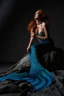 Sütyen ve mavi deniz kızı kuyruğu takan genç kızıl saçlı bir kadın. Kayanın üzerinde oturuyorlar ve başka tarafa bakıyorlar.