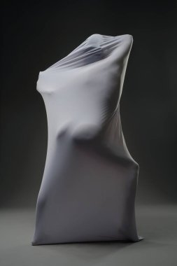 Eşsiz, soyut bir figür yumuşak kumaşla kaplıdır. Karanlık bir arkaplana karşı sanatsal bir siluet oluşturur. İlginç dokular sergiler..