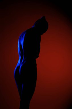 İnce bir siluet zarif bir pozda durur, vücudun hatlarını kırmızı ve mavi zıt arkaplanlara vurgular..