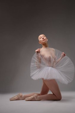 Güzel bir bale dansçısı, zarif ve zarif bir duruş sergiliyor. Nazik bir etek ve bale ayakkabısı giyiyor..