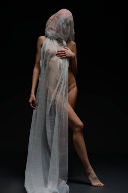 Koyu bir ortamda, kızıl saçlı bir kadın çıplak poz verir, şeffaf kumaşa bürünür, güzelliğini ve zarafetini sergiler..
