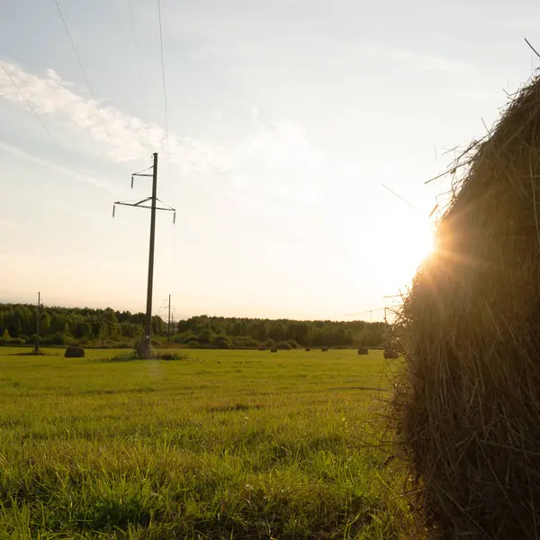 Güzel Rus manzaralı yaz aylarında gün batımında under
