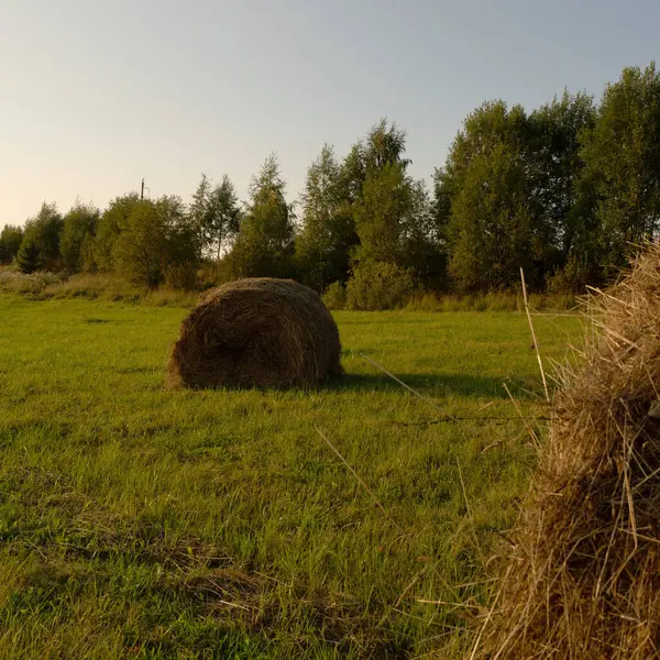 Güzel Rus batımında haystacks peyzaj manzaralı dosyalanmış terk
