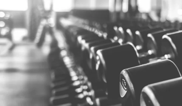 Rows of dumbbells in modern gym, black and white shot