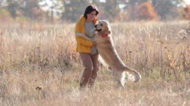 Güzel kız Golden Retriever köpeğini okşuyor ve sonbahar tarlasında ona sarılıyor. Doğada sahibi olan safkan bir köpek.