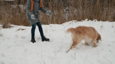 Golden Retriever köpeği ve kışın kar ile oynayan ve gülümseyen bir kız. Saf evcil hayvan labradoru, soğuk havası olan genç bir kadın.
