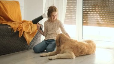 Küçük mutlu saç kurutma makinesi ve ıslak Golden Retriever köpeğinin üzerinde. Köpek ve çocuk banyodan sonra.