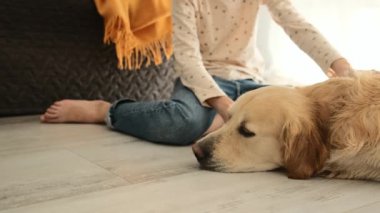 Küçük kız evde sevimli köpeğiyle oynuyor. Golden retriever köpeğini okşayan kız.
