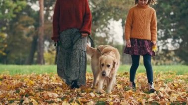 Anne ve kızı sonbahar parkında altın renkli bir köpekle yürüyor. Aile dışarıda köpeklerle dinleniyor..