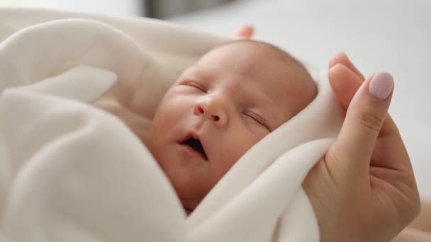 Adorable Newborn Baby Awaking Falling Asleep His Mother Hands Closeup — Stock Video