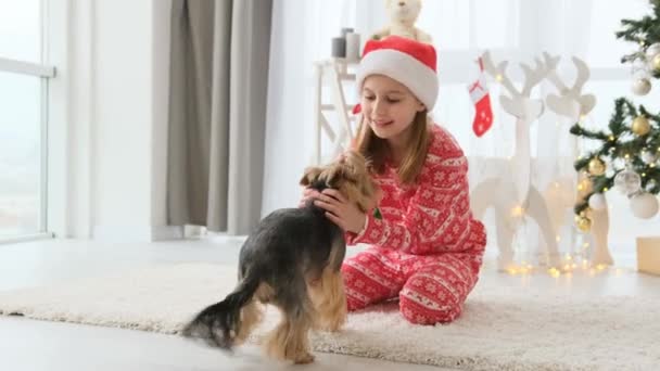 赤いサンタの帽子をかぶって笑顔でクリスマスツリーの近くに犬のテリアを抱いているかなりの子供の女の子 幸せな女性子供とともに犬ペットで新年とクリスマス時間 — ストック動画