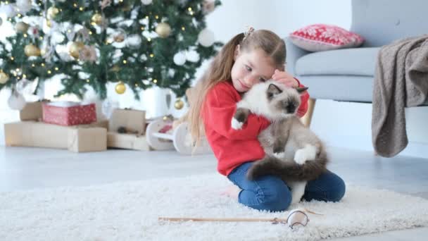 圣诞节期间 漂亮的小女孩在家里抱着猫 爱抚小猫 在新年装饰的房间里 可爱的孩子养着宠物猫和树 — 图库视频影像