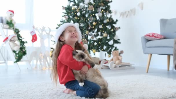 Szczęśliwe Dziecko Dziewczyna Przytula Kota Uśmiecha Się Czasie Bożego Narodzenia — Wideo stockowe