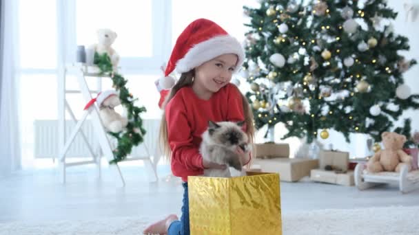 Gelukkig Kind Meisje Neemt Kat Uit Geschenkdoos Kersttijd Versierde Kamer — Stockvideo