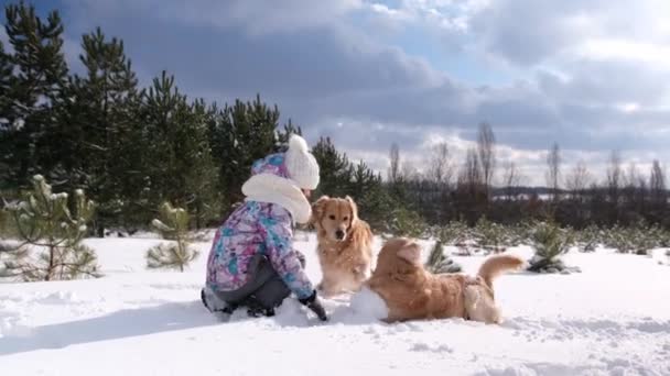 Tenåringsjente Med Golden Retriever Hund Som Leker Med Snø Frostskogen – stockvideo