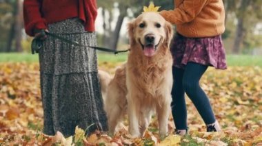 Anne ve kızı sonbahar parkında altın renkli köpekle eğleniyorlar. Mutlu aile dışarıda köpeklerle oynuyor..