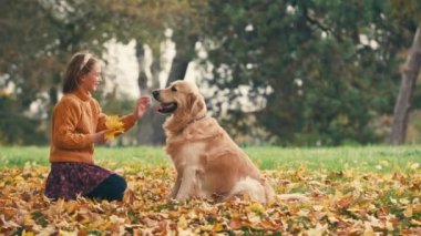 Mutlu küçük kız sonbahar parkında eğleniyor ve altın renkli köpekle oynuyor..