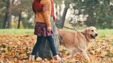 Anne ve kızı sonbahar parkında altın renkli bir köpekle yürüyor. Aile dışarıda köpeklerle dinleniyor..