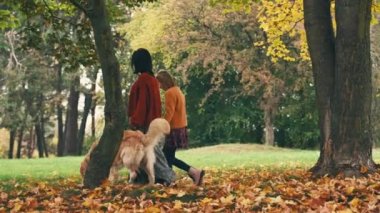 Anne ve kızı altın renkli bir köpekle sonbahar parkında yürüyorlar. Mutlu aile dışarıda köpeklerle dinleniyor..