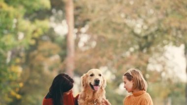 Anne ve kızı sonbahar parkında eğleniyor ve altın renkli köpekleri okşuyor. Mutlu aile dışarıda köpeklerle oynuyor..