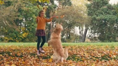Mutlu küçük kız sonbahar parkında eğleniyor ve altın renkli köpekle oynuyor..