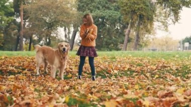 Mutlu küçük kız sonbahar parkında eğleniyor ve altın renkli köpekle oynuyor..