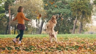 Mutlu küçük kız sonbahar parkında eğleniyor ve altın renkli köpekle oynuyor..
