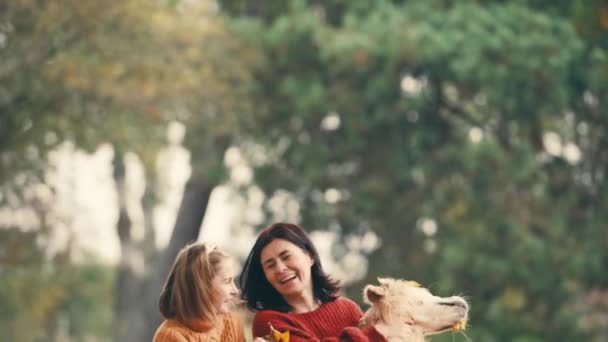 Мать Дочь Веселятся Золотой Ретривер Собакой Осеннем Парке Счастливая Семья — стоковое видео