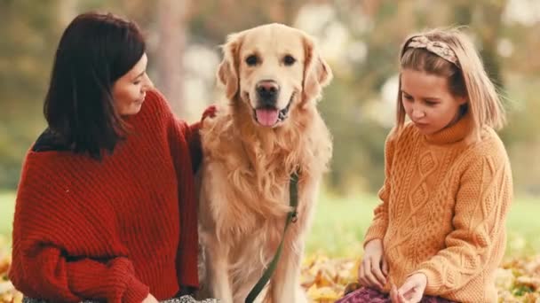 Мати Дочка Золотою Собакою Ретривером Осінньому Парку Щаслива Сім Грає — стокове відео