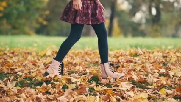 Маленькая Девочка Ходьба Ногами Опавшие Листья Осеннем Парке Ребенок Весело — стоковое видео