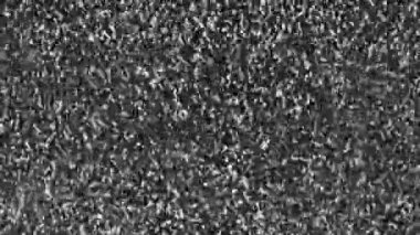 Siyah beyaz arızalı ve titreşimli dijital görüntü pikseli gürültüsü. Görüntü ve sinyal hatasından dinamik bozulma etkisiName