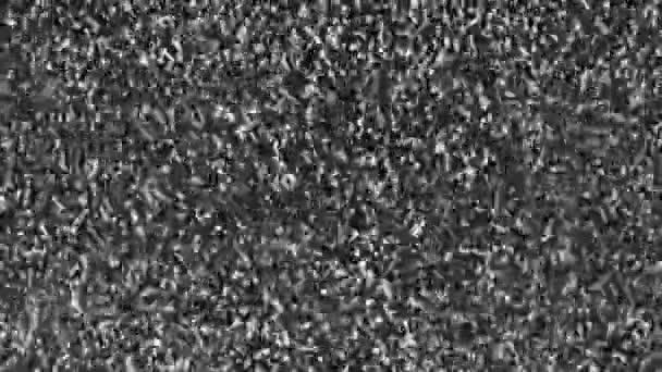 黒と白のグリッチとちらつきとデジタル表示ピクセルノイズ ビデオおよび信号エラーによる動的歪み干渉効果 — ストック動画
