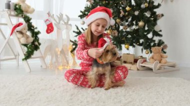 Çocuk Noel ağacının yanında köpek teriyeri kırmızı Noel Baba şapkası takıyor. Süslü odada köpeği olan güzel bir çocuk.