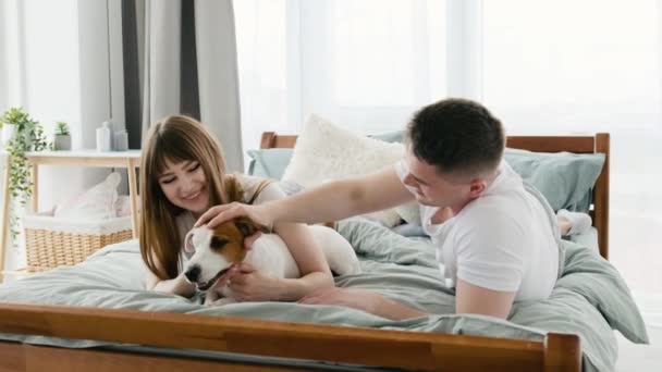 这对年轻漂亮的夫妇早上呆在床上 爱抚着可爱的狗 迷人的女人和男人带着宠物狗在卧室里 幸福家庭关系和团聚的概念 — 图库视频影像
