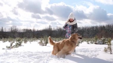 Kız kış ormanlarında karda Golden Retriever köpeğiyle oynuyor. Safkan evcil hayvanı olan genç bir kadın dışarıda eğleniyor.