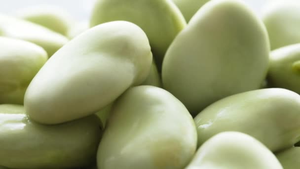 緑の生豆が閉じます 健康的な栄養のための有機野菜のマメ知識の収穫 — ストック動画